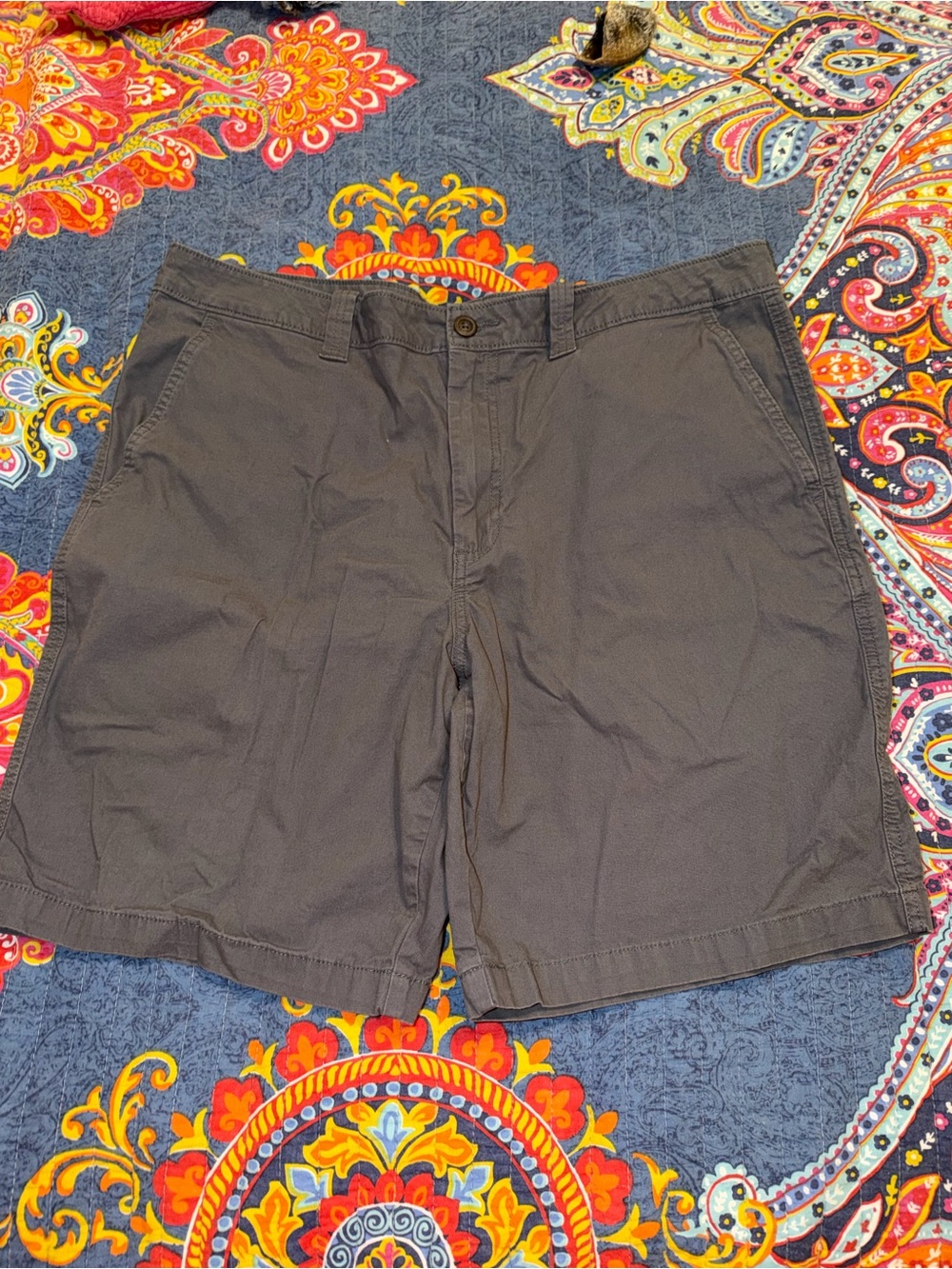Magellan Outdoors Men's Flat Front Shorts in Charcoal Gray
